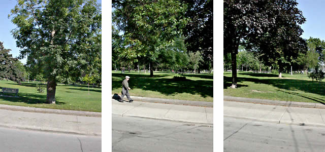 queen west north side trinity bellwoods park