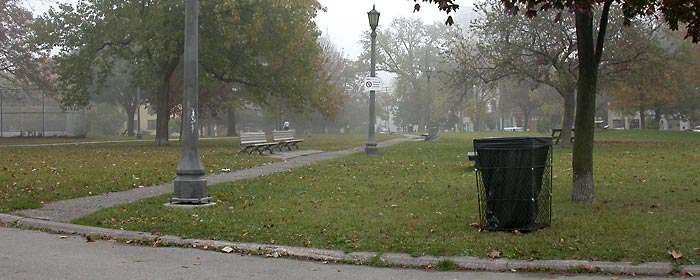 foggy park